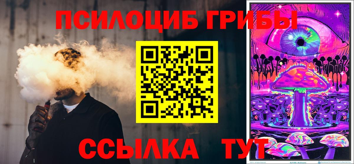 Великие Луки  Псилоцибиновые грибы Psilocybe  Вход с VPN 