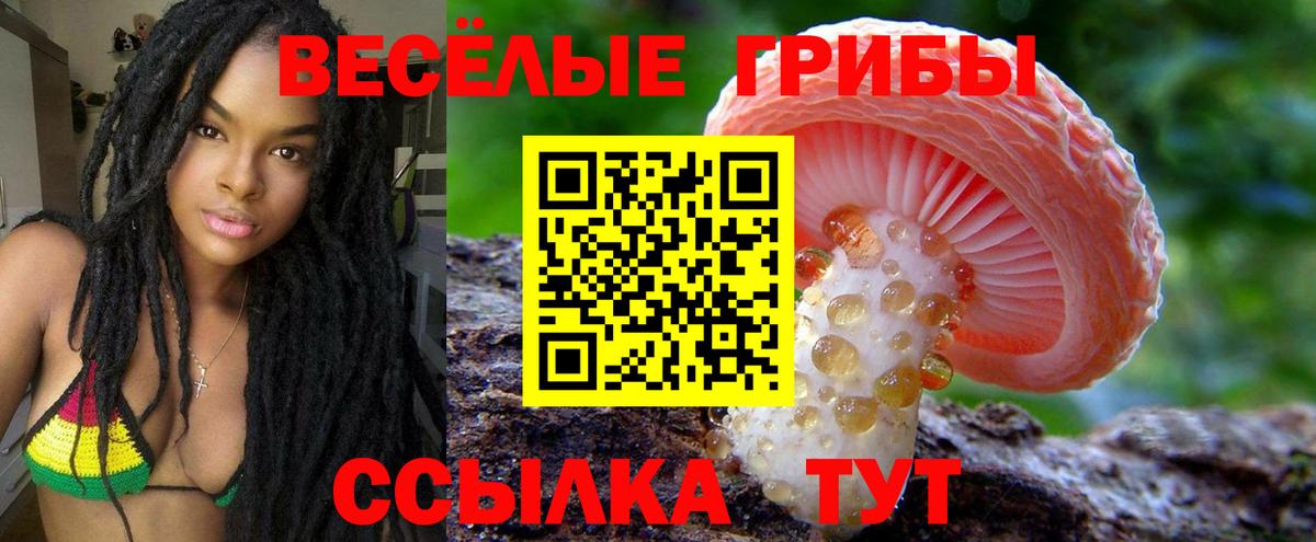 Галлюциногенные грибы Cubensis Великие Луки