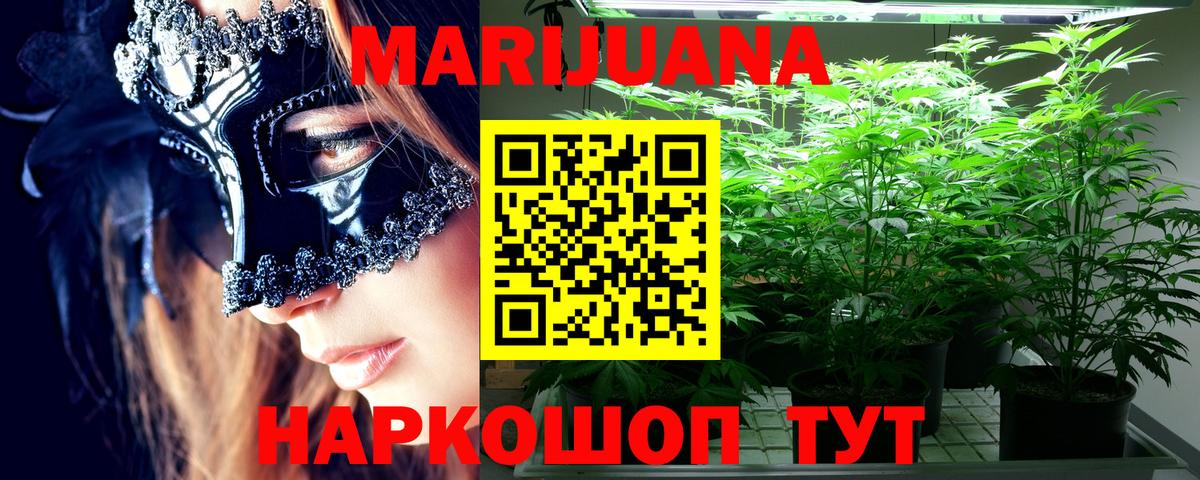 Шишки марихуана сатива  Конопля индика  Вход с VPN  Великие Луки 